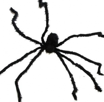 Dekorace - Chlupatý pavouk
